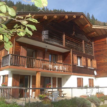 Appartement 6 Personnes, Animaux Acceptes, Parking - Le Grand-Bornand - Fr-1-467-39 Экстерьер фото